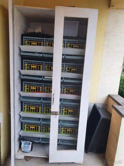 Klietka pre prepelice - 3