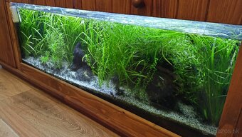 Akvárium so skrinkou - 3