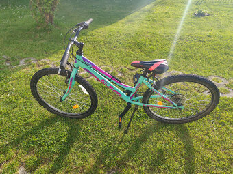 Detský bicykel CTM MONY 24 - 3