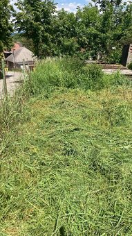 Zimné upratovanie záhrad a rez ovocných stromov - 3