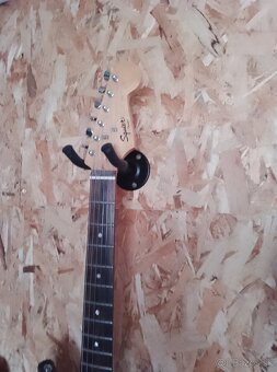 Squier - 3