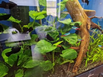 Akvarium diversa 120l so skrinkou - 3