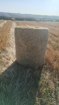 Pradam slamu slama - 3