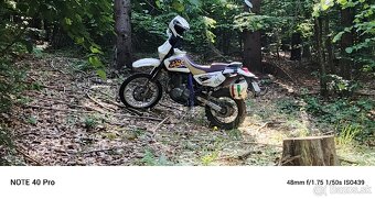 Suzuki DR 650 SE - 3