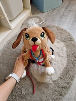 Predám psíka Floppy - 3