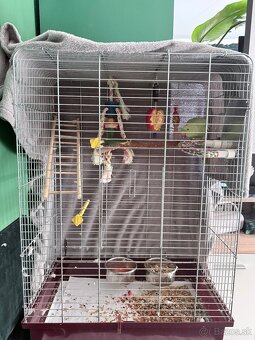 Alexander malý s klietkou - 3