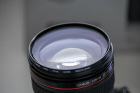 Canon 6D + 24-105 f/4 - 3