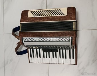 Akordeón, Harmonika - 3