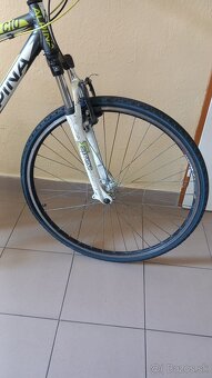 bicykel ALPINA ECO C10 - 3