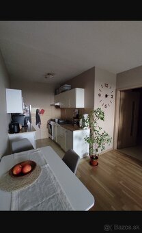 Prenájom 1,5 izbový byt Nad Jazerom - 3