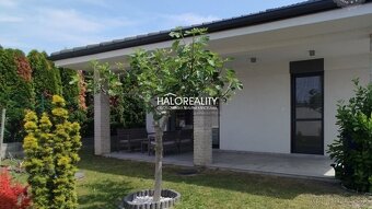 HALO reality - Predaj, rodinný dom Veľké Dvorníky, so zariad - 3