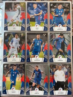 Slovenskí Sokoli 2024 - 3