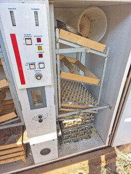 Liahen na vajcia - 3