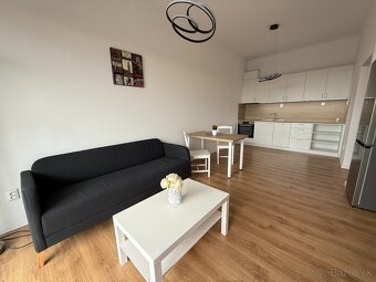 Prenájom 2 izbový byt Podunajské biskupice - 3