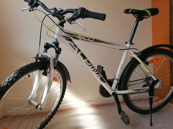 Horský bicykel Alpina - 3