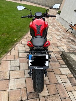 Kawasaki Z650 50th Anniversary Edition 2022 - 3