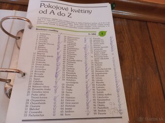 Izbové rastliny od A po Z - 3