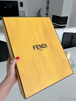 Fendi krabica - 3