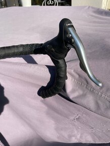 Giant TCR Once Carbon - 3