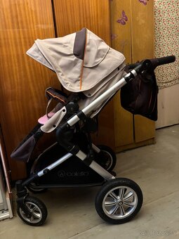 Kocik Coletto Giovanni - 3