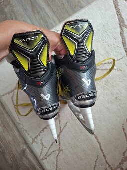 Korcule bauer vapor x4 - 3
