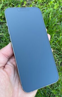 iPhone 13pro max 256GB - 3
