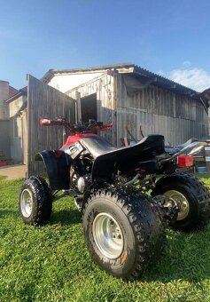 Yamaha Warrior 350 - 3