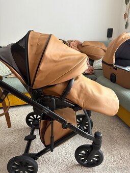 Krásny kočik Anex ETYPE Caramel - 3