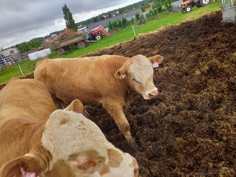 Betónové cestné panely (prémiový materiál) - 3