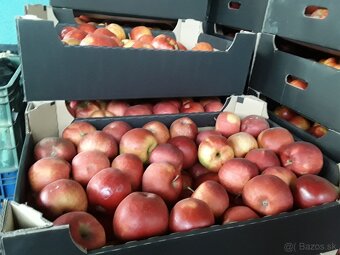 Predaj jablk - 3