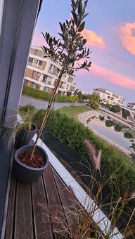 Luxusný zariadený 2 izbový byt Malinovo Tri vody - 3