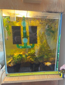 Akvarium s Gupkami - 3