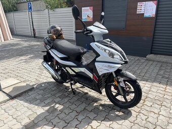 MAXON SKUTER 125 2019 - 3