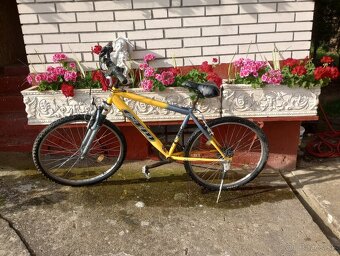 Predám bicykel CTM - 3