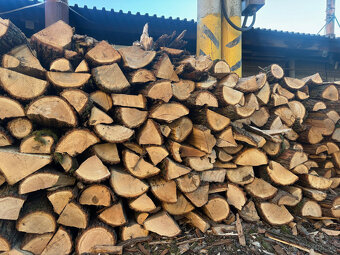 Štiepane palivové drevo Suchšie - 3