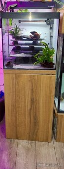 ⚠️Akvárium Komplet⚠️ - 3