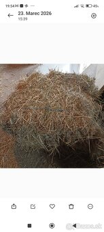 Predam baliky sena - 3