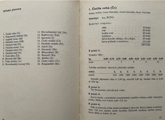 Králiky - 3
