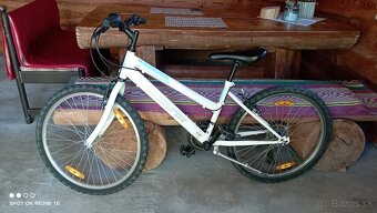 Bicykel - 3