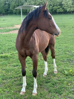 Qh - 3