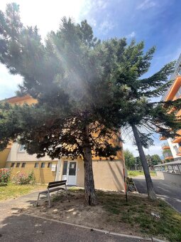 2 izbový byt s balkónom s výhľadom na Vysoké Tatry - 3