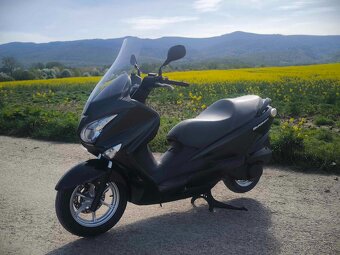 Suzuki Burgman 125cm r.v 2016 - 3