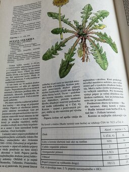 Atlas liečivých rastlín a lesných plodov--1982--Kresánek Jar - 3