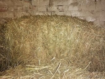 Predám malé senove baliky - 3
