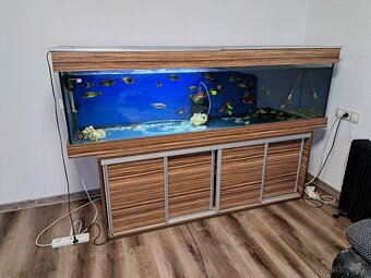 Akvarium 500l - 3