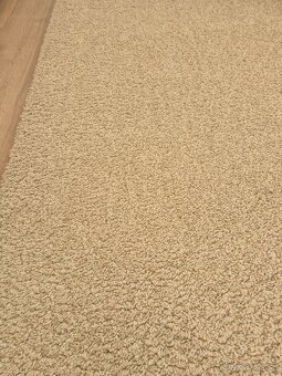 Koberec ÅDUM 170x240 - 3