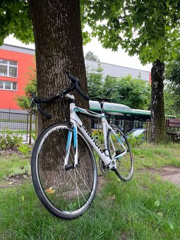 Bianchi Via Nirone 7 - 3