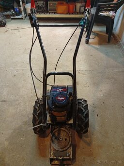 Lištova kosacka - 3