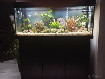 Predam jewelriio 240l - 3
