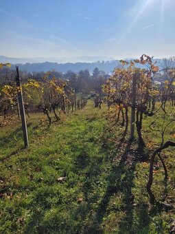 Ponúkame na predaj pozemok na Božom kopci v Štúrove - 3